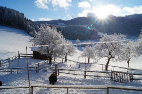 Urlaub am Bauernhof Grub, Göstling An Der Ybbs, Österreich